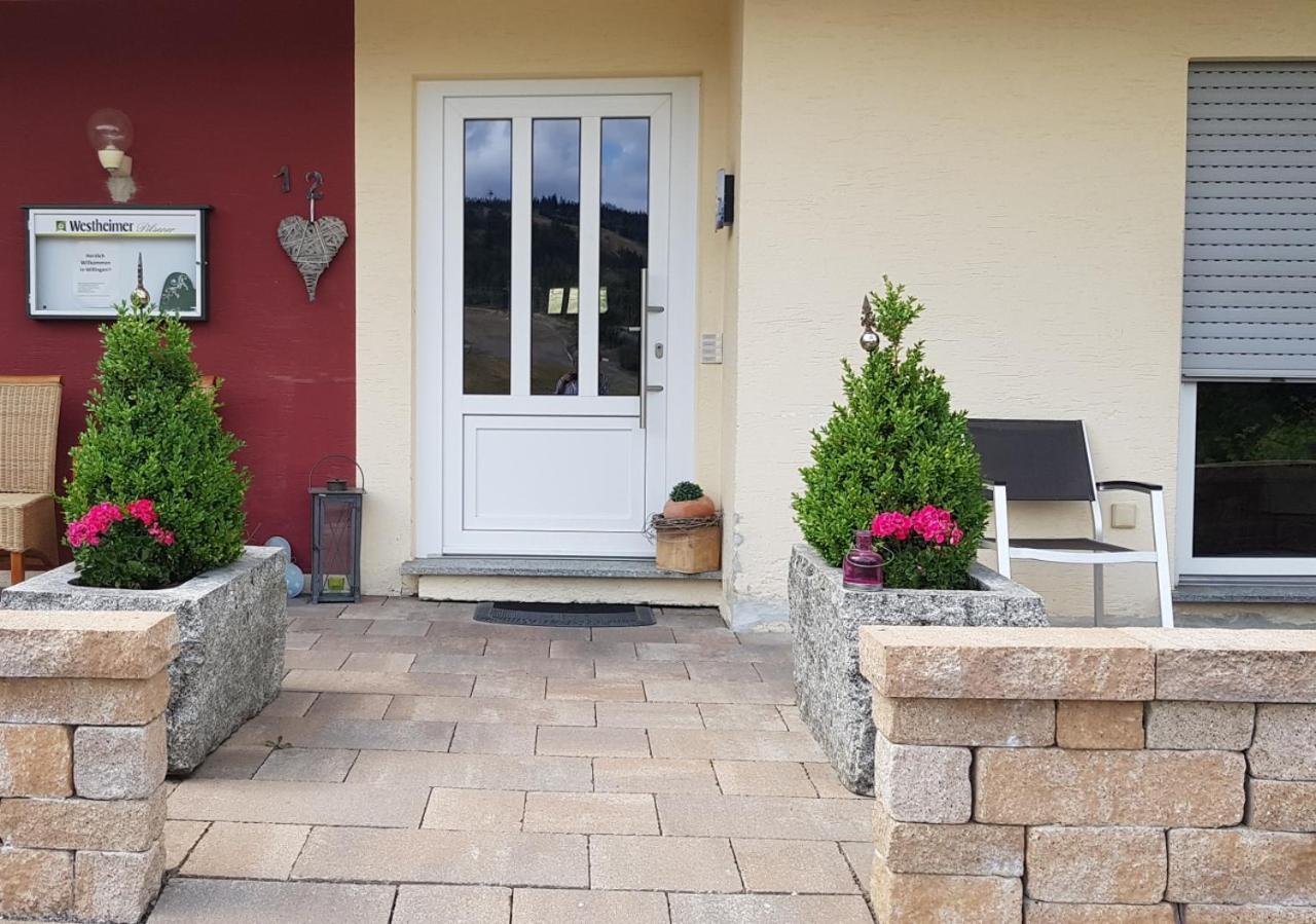 Quartier12 "Ski In & Bike Out" - Fewo Berg Willingen  Exterior foto